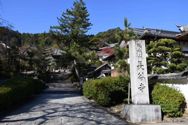 少し遅い気もするが、折角の休日天気も良く気温も17度(11月28日)と申し分のない行楽日和。<br />奈良県桜井市の羽佐寺、段山寺の紅葉と大宇陀の街並み散策と、名産の葛のスウィーツを求めて出かけた。<br />長谷寺は真言宗富山派の総本山です。<br />西国三十三所、華のお寺としても有名。<br />春は牡丹とサクラ、秋は紅葉が絶景です。<br />本堂からせり出した舞台より見る五重塔も見事です。<br /><br />