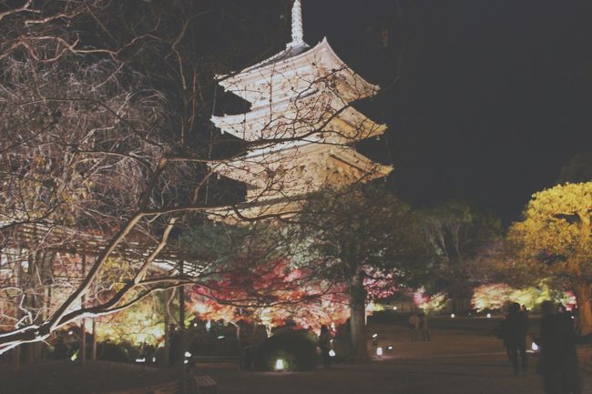 東寺は京都に行ったとき外からはよく見ていましたが、中に入るのは初めてです。水面に映るライトアップされた紅葉と五重塔の美しさは素晴らしかった。入場待ちの行列が１００メートル以上も並んでいたのですが、眺めてみて並ぶ人が多いのも納得でした。