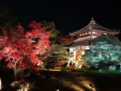 宝厳院、鹿王院夜間特別拝観