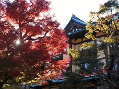 富士屋ホテル ☆ エントランス（11月27日）