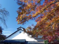 草雲美術館の紅葉_2017_落葉が始まっています（栃木県・足利市）