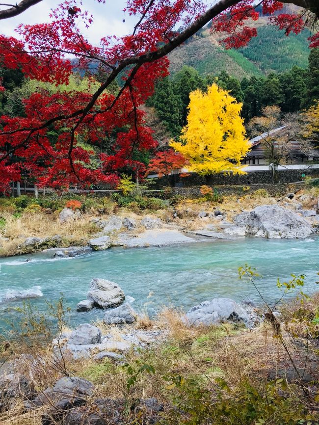 御嶽渓谷の紅葉が見頃という事で<br />紅葉狩りをしてきました。<br />東京にもこんなにキレイな紅葉スポットが<br />あるのかとびっくりです。