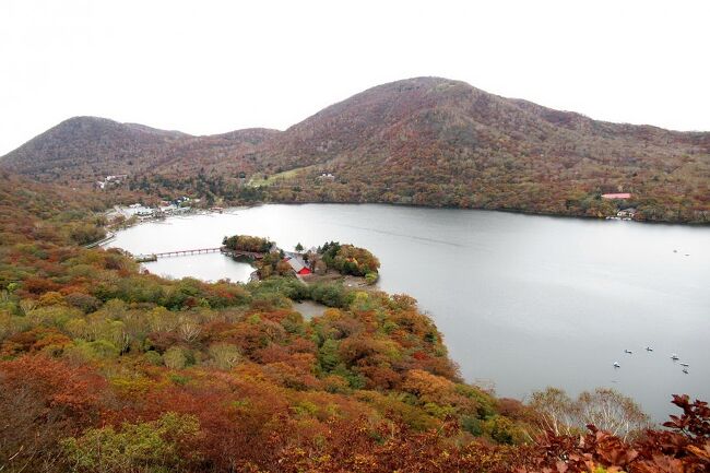 群馬県を代表する赤城山は、群馬県のほぼ中央に位置する1,200m~1,800mの峰々からなる複成火山で、榛名山・妙義山と共に上毛三山の一つに数えられています。<br />カルデラの周囲を峰々が取り囲み、外側に広がる緩やかな裾野の高原台地は富士山に続いて日本で二番目の規模です。<br />「・・・その広い裾野の各方面から登路がついている。こんなに登路の多い山も珍しい。それだけ四周の山麓の住民から親しまれてきたのであろう。上州の博徒の親分が、この山へ逃げ込んだところで、別に不審ではない。・・・」(深田久弥:「日本百名山」より)<br />2年前の5月に、ヤマツツジを求めて鍋割山と荒山に登ったことがありますが、最高峰である黒檜山(1,828m)に登らないと日本百名山の赤城山を踏破したことになりません。<br />ということで、10月中旬の紅葉の時期に、仲間5名で黒檜山へ登りました。<br />山の上の方の紅葉は終盤でしたが、山麓の赤城神社の周辺は見頃を迎えていました。<br />写真は、黒檜山から見た地蔵岳・大沼・赤城神社周辺の紅葉。