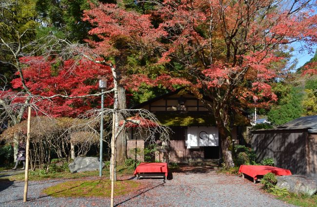 １０月２１日　1日100人限定公開の二ノ瀬駅近くの白龍園に行きました。<br />10時開演で特別観覧チケットは出町駅にて販売ということで朝7時前に出町駅に行きました。<br />まだ10人ぐらいしか並んでいませんでした。8時でぎりぎりという情報があり、間に合わないと馬鹿らしいので早めに行きました。<br />チケットは8時半ぐらいから販売され一日乗車券付きのチケットを購入しました。<br />叡山電車　もみじのトンネル<br />https://youtu.be/xIEX9Q4w-ww<br />白龍園<br />https://youtu.be/IJwZaDRLNBk