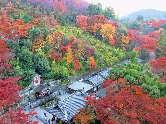 ひょんなことから目にしたクラブツーリズムの「京都5つの紅葉名所めぐり　3日間」に旅行代金も手ごろだったので、オーストラリア旅行から帰ってきて約1週間後、ちょっと趣向を変え気分転換に参加してみました。<br /><br />ずっと昔の社員旅行以来の国内旅行で、個人で行くのは初めて。<br />4トラベルへの国内の旅行記も初めての投稿となります。