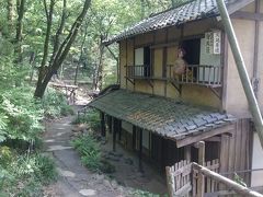 初体験、栃木の藤棚と群馬のSL (8-1) ディープな三日月村