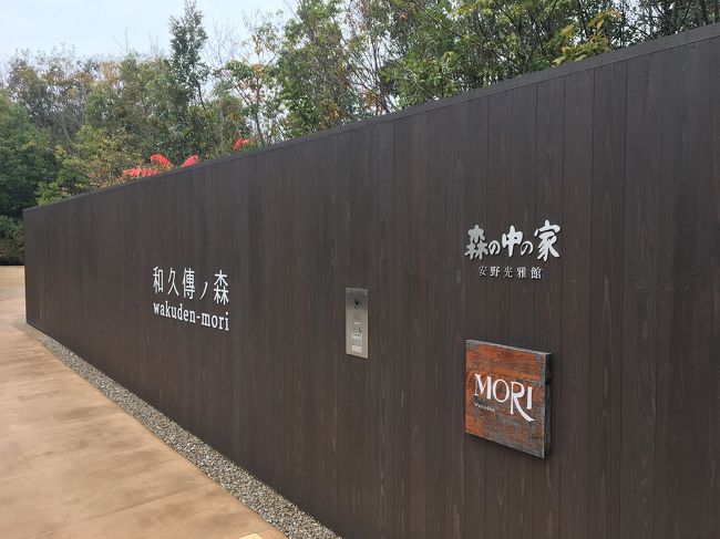 毎年恒例、両親結婚記念日プレゼントの夕日ケ浦カニ食べ旅行。<br />今年は開催が危ぶまれましたが、無事、いつも通り行くことができました。<br />というのも、前月に母が久美浜ですっ転んで見事に脚を骨折してしまい、手術&入院でどうなるかわからなかったから。<br />(詳細はこちらの旅行記参照:地味に素敵な久美浜に行ってきました<br /> https://4travel.jp/travelogue/11293915)<br /><br />母は驚異的な早さで復活し、手術のちょうど1か月後にこの旅行に来れました。親にはいつまでも元気でいてもらいたいものです。<br /><br /><過去のカニ食べついでの寄り道(旅行記あり)><br />2015年 竹田城<br />2014年 出石<br />2013年 安国寺、質志鍾乳洞<br />2012年 舞鶴<br />2010年 福知山動物園