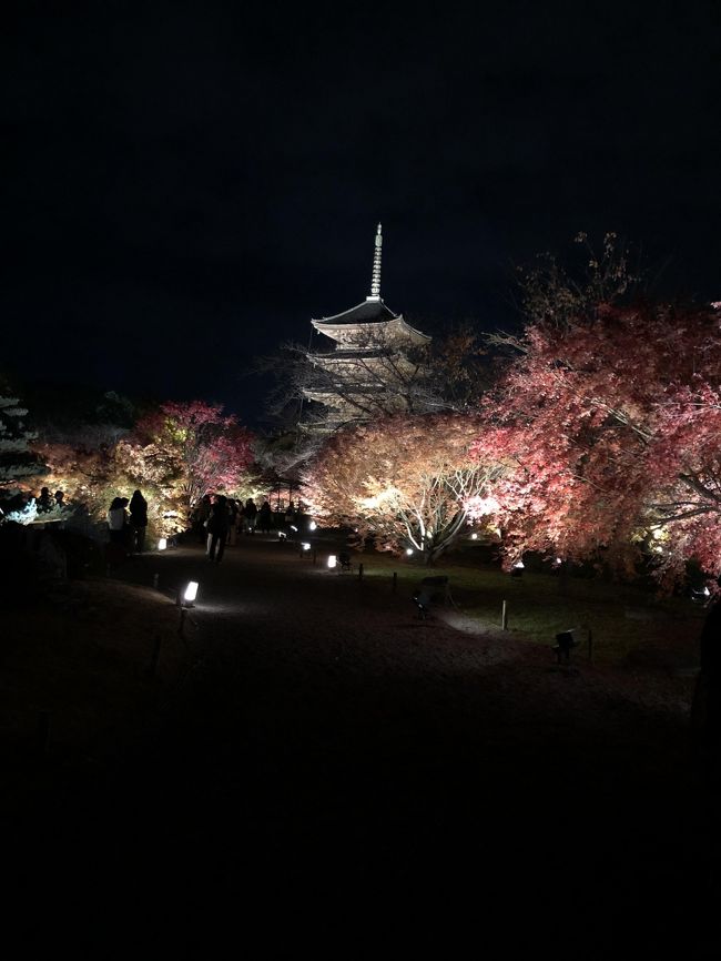 毎月21日の『弘法さん』で知られている真言宗東寺派大本山教王護国寺。通称である東寺の名で知られています。<br /><br />たまたま平日に取れた連休を利用してライトアップを訪れました。京都駅から歩いて15分で訪れることができる場所であり、平日にもかかわらず多くの観光客で賑わっていました。<br /><br />夜間拝観を行なっている神社仏閣では、管理上の問題と称して、施設の入場を認めていない場所が多いようですが、ここ東寺では金堂と講堂が開放されており、昼間同様参拝することができます。拝観料は1000円とお高めですが、その価値は十分にありました。<br /><br />拙い文章で申し訳けありませんが、京の夜を見てやって下さいませ。それでははじまります。