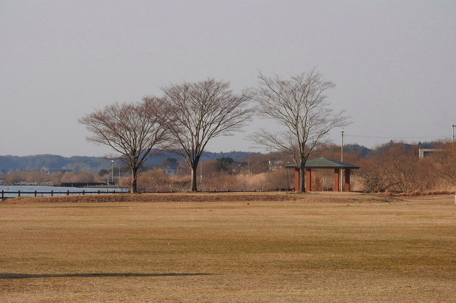 天王崎公園で、散策＆バードウォッチングを楽しみました。<br /><br />表紙写真は、天王崎公園の風景です。