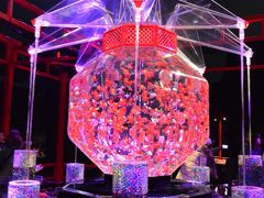 ２０１７年１１月　ロンドンタクシーで巡るインスタ映え京都～♪　～「アートアクアリウム城」鑑賞～