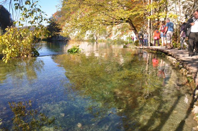 １０月１２日　７日目になります。<br /><br />待望の「プリトヴィツェ湖群国立公園」の観光！<br /><br />ザグレブとザダルのほぼ中間にあるクロアチアを代表する景勝地で<br /><br />紅葉のプリトヴィツエが見たくて今回のツアーに参加しました。<br /><br />１０月はシーズンオフになるようで人は多いものの混雑はそれほどでもなく<br /><br />充分楽しめましたが、なんせ期待が大きすぎたようで・・・