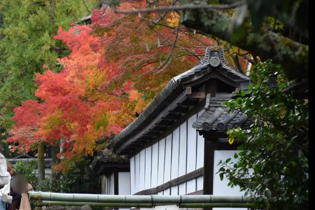休日に子供たちの遠足があったので、主人と２人で秋の京都へ。<br />紅葉には少し早い時期でしたので、少しの混雑は有りましたが、渋滞も無く金戒光明寺に到着できました。<br /><br />一番の目的は銀閣寺と南禅寺。<br />でもその周辺の駐車場はとても高い。<br />以前の清水寺では何も調べずに行き、なかなかの金額が駐車場代として飛んでいきました( ；∀；)<br />前回の経験を踏まえて事前に駐車場を検索☆<br />銀閣寺から少し離れますが、金戒光明寺の駐車場が穴場で安い！！<br />今回の京都は金戒光明寺からスタートです！！<br /><br /><br /><br />