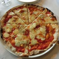 メタセコイア並木☆佐川美術館