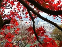 比叡山麓の秋
