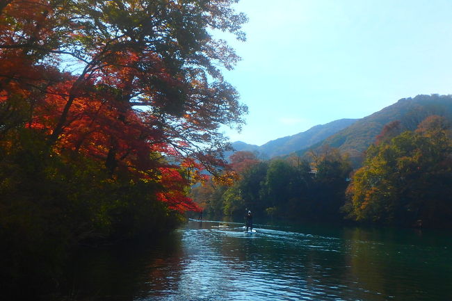 今シーズンから始めたＳＵＰ<br />（Ｓｔａｎｄ　Ｕｐ　Ｐａｄｄｌｅｂｏａｒｄ（スタンドアップパドルボード）<br /><br />初めは水遊びの感覚で始めたけれど、どんどん上手になりたい気持ちが大きくなってすっかり習い事の範囲になってしまいました。<br /><br />今シーズン、みなかみ（群馬）では４回、長瀞（埼玉）では５回ＳＵＰができました。<br /><br />みなかみはひと足早く１１月５日にシーズンを終了し、長瀞も２６日にてシーズン終了となるので最終日に漕ぎ納めをしてきました。<br /><br />メンバーはいつもの川仲間。<br />この仲間とは今年の５月にみなかみでのラフティングが「はじめまして」だったのにあっという間に仲良くなったな。<br />年齢も住む場所も違うのに現地集合で一緒に遊べる仲間たち。<br />参加回数が少ない私ですらシーズン中は月１回は会っていたことになる。<br />もっと強者になると（仲間内では敬意を込めてクレイジーと呼んでます）<br />毎週川に出ていた人もいるので「来週から週末をどう過ごせばいいかわからない」と早くも川ロス状態（笑）<br /><br />小さなケガはあったけれど、楽しく無事にシーズンを終えられてよかった。<br />また来シーズンね♪<br /><br /><br /><br />長瀞のラフティング・ＳＵＰ・ＭＴＢはグランデックス長瀞ベース<br />http://www.gdexr.com/nagatoro/index.html<br />