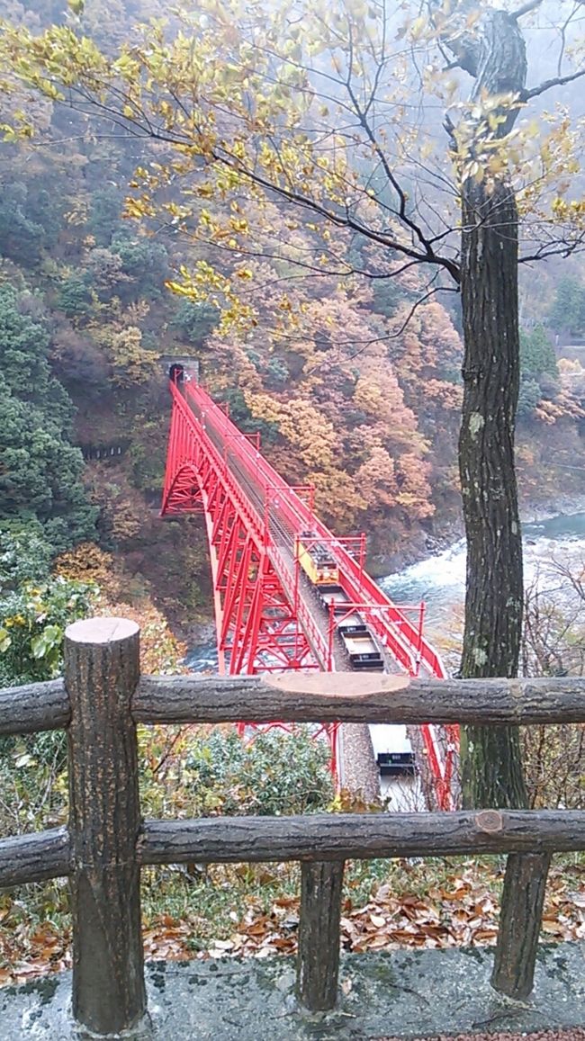 ご覧戴きましてありがとうございます。<br /> 2017年11月23日~2017年11月26日の4日間、JR東海が発売している「北陸観光フリーきっぷ」を利用して北陸地方ならびに岐阜県の飛騨高山を散策してきました。<br /> 今回は4日間の行程かつ写真の枚数が多いため、10部構成での公開を予定しており、各パートの主な内容は以下のとおりです。<br /><br />◎パート1→自宅の最寄駅である浜松駅から北陸地方までの移動の様子、金沢でのランチの様子、北陸観光フリーきっぷの内容等<br />◎パート2→和倉温泉での散策の様子等<br />◎パート3→金沢~宇奈月温泉間の移動の様子、宇奈月温泉付近の散策の様子<br />◎パート4→宇奈月温泉付近の散策の様子、富山市内でのランチの様子等<br />◎パート5→金沢市内の散策の様子、富山~福井間の移動の様子<br />◎パート6→芦原温泉の温泉街付近の散策の様子、三国港付近での散策の様子、えちぜん鉄道三国芦原線について<br />◎パート7→敦賀市内の散策の様子、敦賀でのランチの様子等<br />◎パート8→島尾海浜公園・雨晴海岸での散策の様子、ハットリくん列車について等<br />◎パート9→観光列車「べるもんた」について、高岡~高山間の移動の様子、高山市内の散策の様子等<br />◎パート10→高山市内の散策の様子、高山~浜松間の移動の様子<br /><br /> そのうち今回はパート3である為、金沢~宇奈月温泉間の移動の様子、宇奈月温泉付近の散策の様子をご覧戴きます。<br />