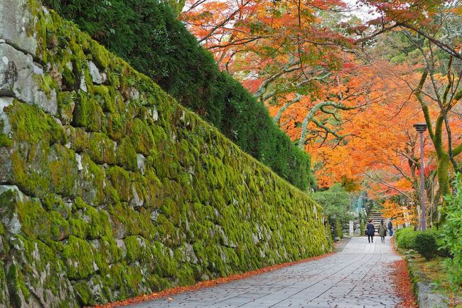 寄り道京都の紅葉が凄すぎたけど滋賀県にも素敵な場所はいっぱいです。<br />２年前に訪れた湖東三山・永源寺は今年も美しい紅葉をみせてくれた事<br />でしょう。今回はまた違う場所を訪ねてみようとおごと温泉から近い<br />坂本のまちを歩きました（ほぼタクシーだけど）<br /><br />お宿をゆっくりと出て比叡山のお膝元、石積みの美しい紅葉の坂本へ<br /><br />■日吉大社<br />http://hiyoshitaisha.jp/<br />■旧竹林院<br />http://kyuchikuriin.web.fc2.com/<br />■智積院<br />http://www.chisan.or.jp/<br /><br /><br />