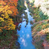 ちょいと紅葉を探しに鳳来へ