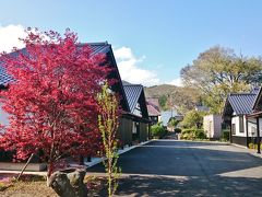 初体験、栃木の藤棚と群馬のSL (8-7) 土合駅と猿ヶ京温泉 旅籠屋丸一