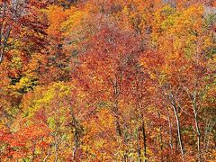 上信越-2  銀山平キャンプ場＊紅葉　荒沢岳の彩り最高潮　☆長いトンネル抜けた別天地