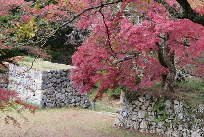 2017秋、奈良の日本百名城(5/12)：高取城(5/6)：高取城、本丸、天守台、楓の紅葉