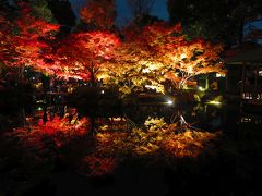 ちょいと寄り道 都内の紅葉 ～太田黒公園～