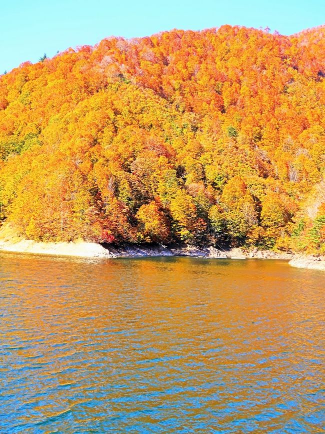 奥只見湖は、奥只見ダムによって形成される人造湖。正式には銀山湖（ぎんざんこ）と呼ぶ。その巨大さは完成以降徳山ダムに抜かれるまで貯水容量日本一を誇っていた。2005年にダム湖百選に選ばれている。<br />奥只見湖にはイワナ・ヤマメの他ニジマス・サクラマス等が泳ぐ天然魚の宝庫となり、運がよければ60cmを超える大イワナが釣れるという。<br /><br />奥只見ダム周辺はこの地区の観光の要衝でもあり、観光客は年間60万人程といわれる。 東京から新幹線併用で２時間半程度、自家用車で３時間半程度と首都圏からのアクセスが比較的良い秘境として知られており、特に紅葉の時期は多数のバスツアーコースに組み込まれるほど人気がある。<br /><br />ダムに向かう奥只見シルバーラインは新潟県に管理が移管され、新潟県道50号小出奥只見線として年間15万台以上が利用する観光道路となっている。片側1車線であるが大半はトンネルであり、路面は湧水等でウエットな事が多い。<br /><br />ダムサイト付近からは遊覧船が運航している。 銀山平、尾瀬口との間とダム回遊のコースがあり、年間10万人程の利用者がある。外輪船も就航しており春の新緑と残雪・秋の紅葉には大勢の観光客で賑わう他、尾瀬方面の交通手段としても重要である。 （フリー百科事典『ウィキペディア（Wikipedia）』より引用）<br /><br />銀山平コース　定期航路については・・<br />http://www.okutadami.co.jp/boat/route_ginzan.html<br /><br />上信越（じょうしんえつ）とは、群馬県（上野国）、長野県（信濃国）、新潟県（越後国）の3県の総称である。<br />基本的に、群馬県の西毛（北毛・中毛・東毛） 長野県の東信（北信・中信・南信） 新潟県の上越（中越・下越・佐渡）を表す。 （フリー百科事典『ウィキペディア（Wikipedia）』より引用）<br /><br />『秋山郷の最深部へ 奥只見湖遊覧船 上信越7つの紅葉めぐり２日間』 <br />■７つの紅葉秘境めぐり<br />【１】駒形峡：青い秘境を見物 <br />【２】銀山平：まるで日本でないような感覚を覚える絶景の紅葉 <br />【３】奥只見湖：遊覧船に乗船しながら紅葉を愉しむ <br />【４】前倉橋：秋山郷の紅葉名所 <br />【５】蛇淵の滝：秋山郷の紅葉名所！滝と紅葉の景色が見事！ <br />【６】切明集落：秋山郷の最深部までご案内 <br />【７】魚沼スカイライン：大型バスでは行けないスカイライン！景色を楽しむ <br />・松茸や津南産舞茸を使用した秋の彩御膳<br />・六日町温泉・むいか温泉ホテルに宿泊・夕食は約40種類の和洋バイキングに舌鼓！魚沼産コシヒカリ・紅ズワイガニ・ローストビーフ・天麩羅などのバイキング<br /><br />1 東京駅-【新幹線Maxたにがわ号】--上毛高原駅-【移動・約25分】-①駒形峡(青い秘境・滞在約45分)-【移動・約130分】-②銀山平(まるで日本でないような絶景紅葉・滞在約20分)-【移動・約25分】-③奥只見湖(紺碧の神秘の湖で紅葉狩り・乗船約40分)-【移動・約80分】-六日町温泉(泊)※約40種類の和洋バイキング(約60分) 　宿泊 ： むいか温泉ホテル  <br /><br />2 六日町温泉-【移動・約90分】-秋山郷(マイクロバスで朝一番[9時30分頃]に郷愁誘う山里へ④「前倉橋」(滞在約15分)【移動・約5分】--⑤「蛇淵の滝」(滞在約30分)--小赤沢集落(車窓)--布岩(車窓)--⑥切明集落(秋山郷の最深部・滞在約15分)-【移動・約100分】-津南(松茸・津南産舞茸秋彩り御膳の昼食・約60分)-【移動・約110分(魚野の里まで)】-＜⑦魚沼スカイライン・六日町展望台(滞在約10分)＞--魚野の里(買物・滞在約30分)-【移動・約20分】-越後湯沢駅-【新幹線Ｍａｘたにがわ号】- --東京駅<br />