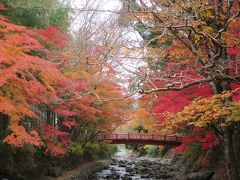 修善寺で紅葉狩り★新井旅館