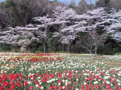 舘山寺温泉の旅行記