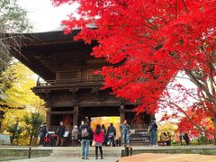 駅徒歩１分都心の京都　紅葉の九品仏浄真寺