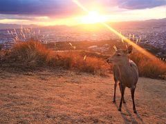 2017年 旅納め　晩秋の奈良へ（後編）　～桜井ちょこっとサイクリングと若草山からの夕焼け観賞～