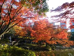 東京２０１７紅葉　【２】日比谷公園