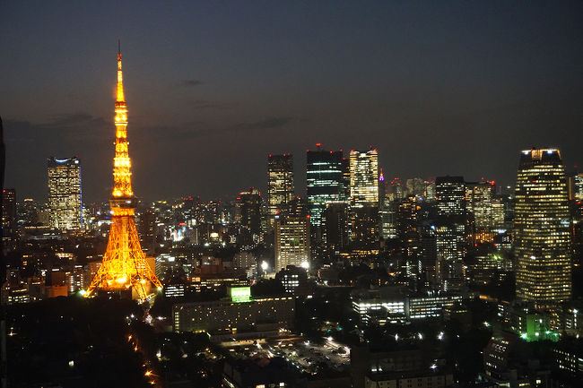 身内と一緒の東京・箱根旅行。<br />何度か東京に行った事はありましたが、とっても充実した、東京っていいな、箱根っていいな、とほっこりする旅が出来ました。<br /><br />1日目…東京旅行記～2017 北区編～→東京旅行記～2017 港区編～その1→東京旅行記～2017 中央区編～その1<br />2日目…東京旅行記～2017 中央区編～その2→東京旅行記～2017 目黒区編～→東京旅行記～2017 港区編～その2→世界貿易センタービル→羽田空港→竹芝（泊）<br />3日目…竹芝→小田急新宿駅→小田急箱根湯本駅→箱根散策<br />4日目…箱根散策→小田原(泊)<br />5日目…小田原界隈散策→真鶴界隈散策→JR真鶴駅→JR三島駅→JR新大阪駅<br /><br />過去の東京・港区旅行記<br /><br />東京旅行記～2007 港区編～<br />https://4travel.jp/travelogue/10174623