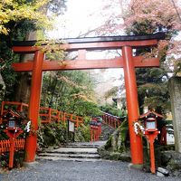 貴船～美山～花背～鞍馬の紅葉を追って！