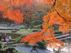 都心の紅葉を見るために東御苑を訪問する①大手門～二の丸庭園～汐見坂迄