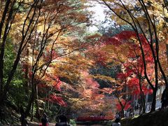 天竜浜名湖鉄道で小國神社へ紅葉狩りとウォーキング