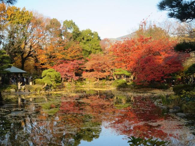 今年は、週末の散歩はもう行けないかな&#12316;と思っていましたがあまりにも天気が良いので、昨年に引続き九品仏の紅葉を見に行く事にしました。ちょっと曇ってきてしまいましたが綺麗な紅葉を見る事ができました。<br />自由が丘では、ダロワイヨ自由が丘店でランチ、古民家カフェ古桑庵抹茶ラテ、一誠堂美術館でアールヌーボーのガラス工芸品鑑賞、日比谷公園で紅葉散策、丸ノ内のKITTEで新しくオープンしたメリーズのカフェでチョコレートドリンク、丸ノ内のイルミネーションをちょこっと見学をしました。