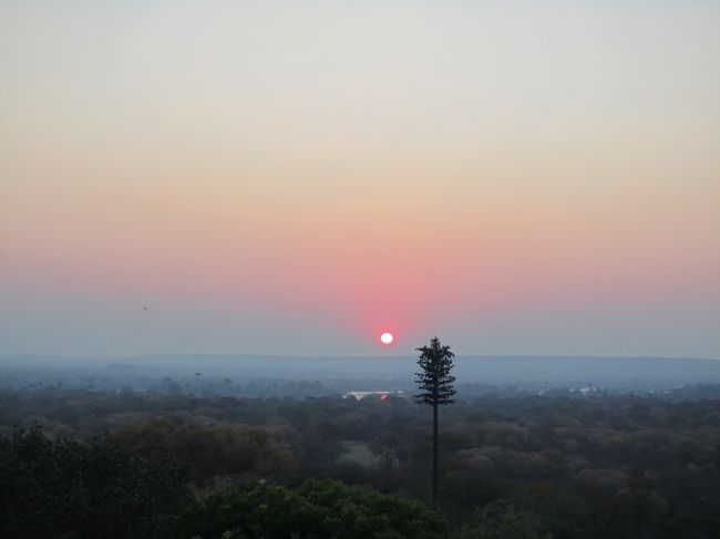 夏に南部アフリカに旅行に行って来ました。ホテルから見るジンバブエの朝日がひと際真っ赤に染まり、神秘的で感動しました。朝日を遮るものが何ひとつなく、1分くらいで地上に上がってきて、あっという間の瞬間の美しさでした。あの真っ赤な太陽は日本では見たことがないので、ぜひまた機会がありましたら見に行きたいです。