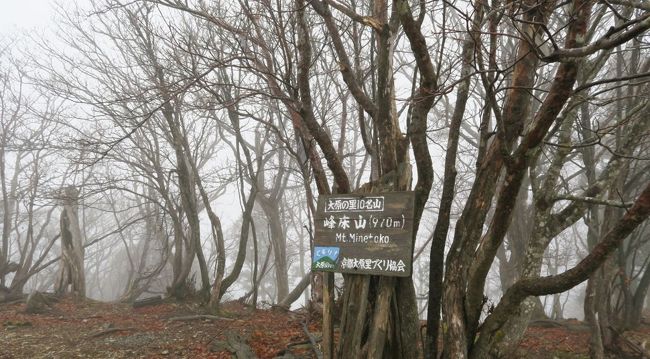 峰床山（みねとこやま・970ｍ）は近畿百名山の一つで、皆子山(971m)についで、京都府第２位の山。その東麓に関西では珍しい高層湿原である「八丁平」を擁し、八丁平の北の入口にあるオグロ坂は、福井県小浜市と京都を結ぶ若狭街道の1つで、古い峠道が走るなど特色が多くて人気も高い山です。<br /><br /><br />天気予報では、曇り時々晴れでしたが、初冬の山らしく雪時雨の中頑張って歩いてきました。<br /><br />日帰り登山として、今回も甲賀市にある琵琶ドリームツアーの企画にお世話になりました。<br /><br />★　歩行距離　約１１Km     歩行時間　約６時間　　　標高差　約５７０m