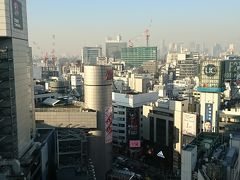 久しぶりの東京ひとり旅