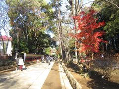 大宮氷川神社参拝と大宮公園散歩