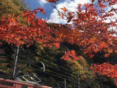 トロッコに揺られ紅葉狩り♪ 奥大井湖上駅へ