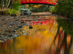 静岡　紅葉めぐり～小國神社、大洞院、油山寺