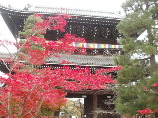 久しぶりに1泊2日のバス旅行でした 光明寺から神戸クルージング 六甲山で神戸の1000万ドルの夜景を見ながら夕食<br />二日目は 東福寺・下神神社・南禅寺の紅葉巡りをしました・・