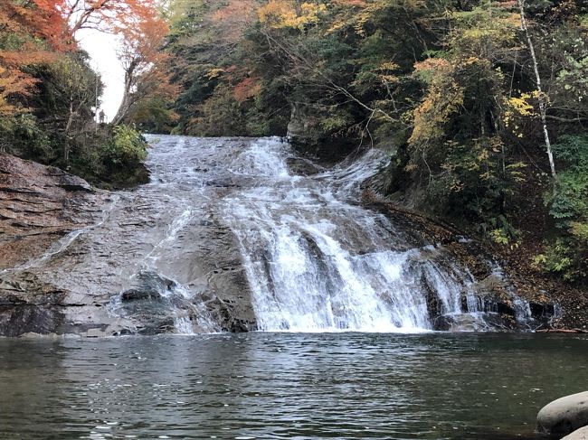 今年は紅葉らしい紅葉を見ていなかった。<br />「明日、養老渓谷へ行ってみよう」と夫。<br />遠いイメージがあったしちょっと面倒だったが、夫は行く気満々。<br /><br />今日もいいお天気だし、行ってみようか。<br />相変わらず出足は遅いが、今年の紅葉は養老渓谷へ＼(＾▽＾)／