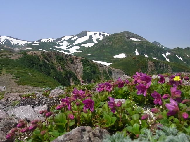 ７月、高山植物、ラベンダーのベストシーズンを狙って<br />大雪山、美瑛、富良野を回りました。<br /><br />大雪と一口に言っても2291ｍの旭岳を筆頭に、<br />50㎞にわたり2000ｍ級の山々の、偉大なる日本一のスケールの山塊です。<br />総面積は神奈川県ほど。<br />北に位置しているので、本州の3000ｍ級の山に匹敵する高山環境で、高山植物の種類も多い！<br /><br />大雪を旭岳ロープウエイと、反対側の黒岳ロープウェイで登りましたが、見られる高山植物の様子が違うことを実感しました。<br /><br />この旅行記は、黒岳から登るお花畑の大雪　秘湯大雪高原山荘　編です。<br /><br />他に・穴場ラベンダー畑、富良野、美瑛編<br />　　・7月はツガザクラの宝庫　7月の旭岳、神秘の青い池<br /><br />忘備録として・・・