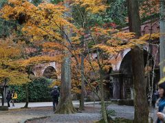 京都へ紅葉を見に行ってきました