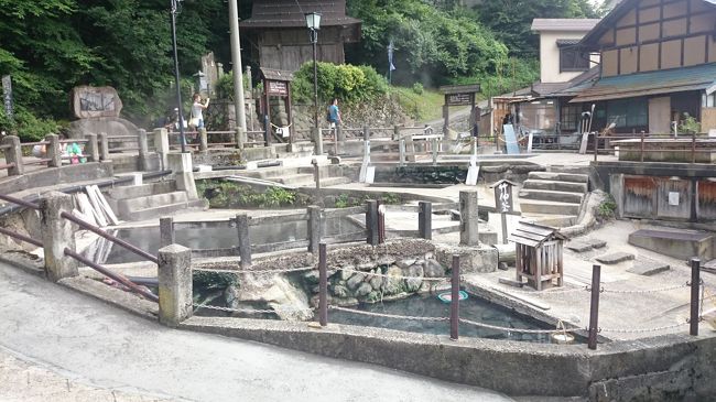 長野県は大きくて見どころもたくさんありますが、僕たちが行ったことがあるのは上田、松本、白骨温泉、昼神温泉だけ。まだまだ行き足りてません。<br /><br />と言うことで、8月の夏旅行 第2弾は長野県の北信地方に決定！<br /><br />今回は有名な野沢温泉と湯田中温泉とともに、善光寺とどうしても行きたかったとあるマニアックな場所を観光。大満足の旅行となりました。<br /><br />9編に渡る長編ですが、どうぞ最後までお付き合いください。<br /><br />《総走行距離：789.2km》<br /><br />[こちらは 9-3 です]