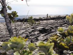 ハワイ島大巡礼の旅2017②