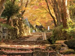 紅葉も真っ盛り♪　晩秋の湖東三山百済寺は期待以上だった♪